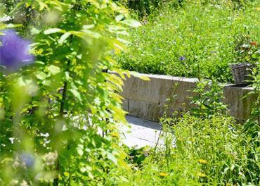 Medien-Schweizer-Garten